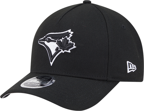 Toronto Blue Jays 9FORTY M-CROWN Snapback