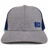 613 FLS Mesh FLEXFIT® Heather Royal