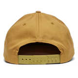 613 Snapback Vegas Gold